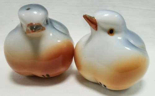 Exquisitely beautiful Vintage Robin salt and pepper set