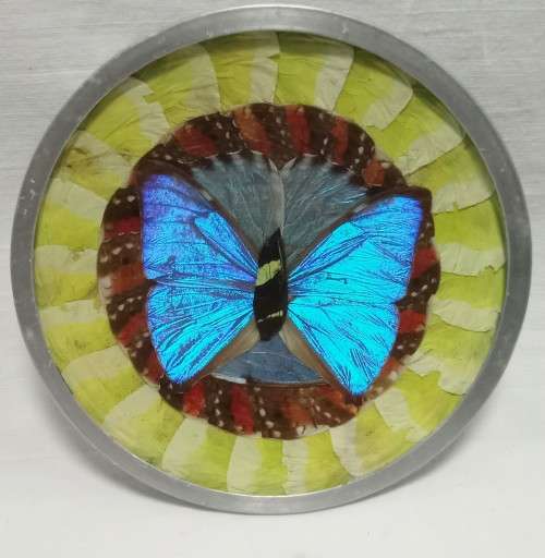 Vintage decorative Morpho Butterfly wing metal plate