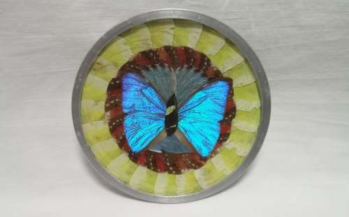 Vintage decorative Morpho Butterfly wing metal plate