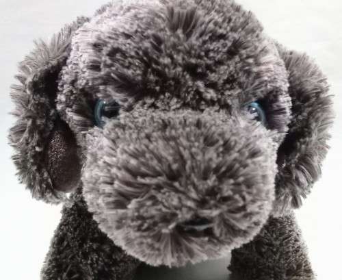 Beanie baby - Frisbee the Weimaraner