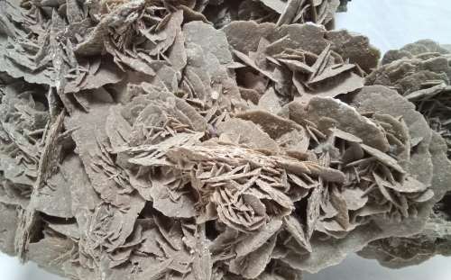 Magnificent very large selenite Desert Rose Crystal mineral stone / gypsum stone