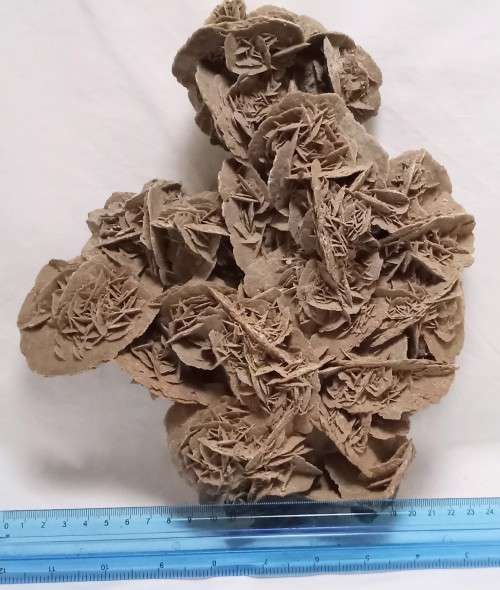 Magnificent very large selenite Desert Rose Crystal mineral stone / gypsum stone