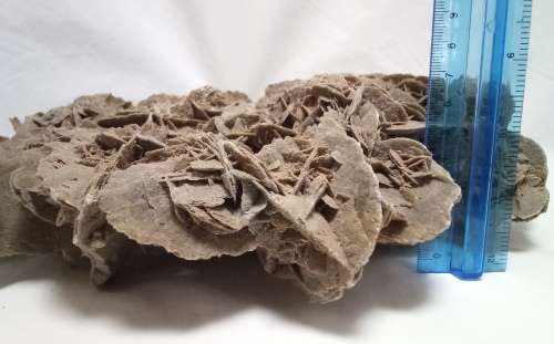 Magnificent very large selenite Desert Rose Crystal mineral stone / gypsum stone