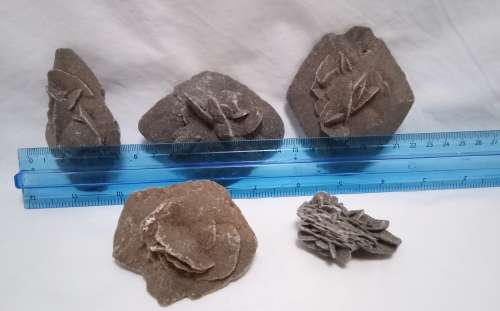 Six selenite Desert Rose Crystal mineral stone / gypsum stones