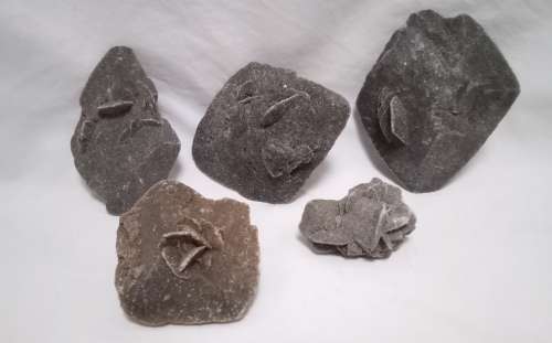 Six selenite Desert Rose Crystal mineral stone / gypsum stones