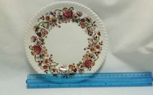 Stunning Windsor Ware Johnson Brothers plate