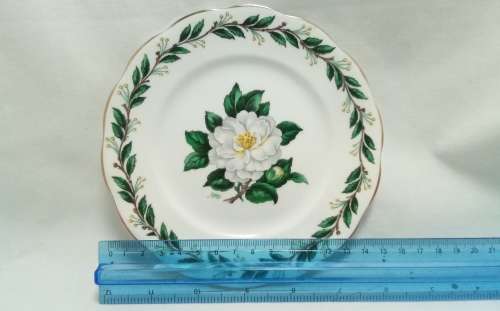 Lovely Royal Albert Lady Clare side plate