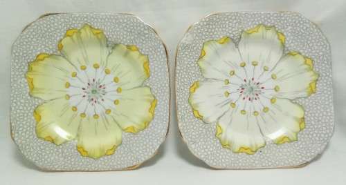 Two exquisite TUSCAN FINE ENGLISH BONE CHINA side plates