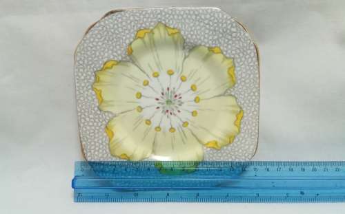 Two exquisite TUSCAN FINE ENGLISH BONE CHINA side plates