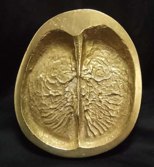 Brass Buffalo spoor from the registered collection of the B.W. Genis animal foot prints 1980