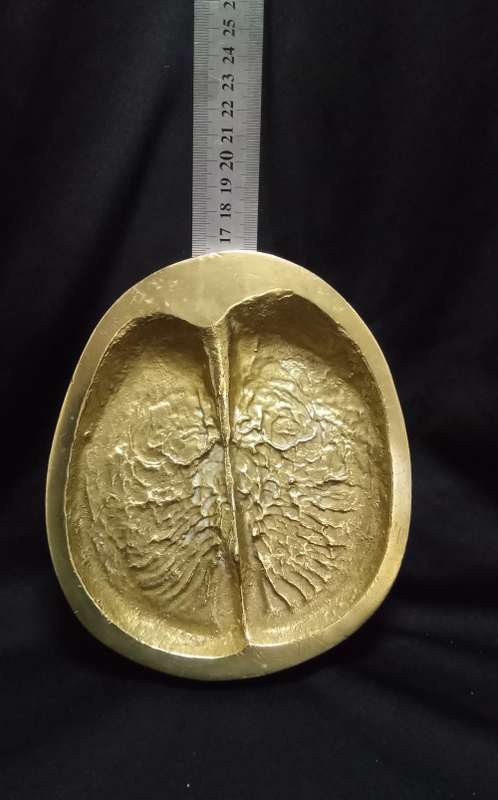 Brass Buffalo spoor from the registered collection of the B.W. Genis animal foot prints 1980