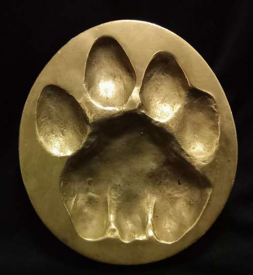 Brass Lion spoor from the registered collection of the B.W. Genis animal foot prints 1980`s