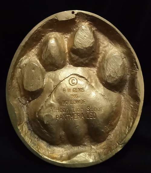 Brass Lion spoor from the registered collection of the B.W. Genis animal foot prints 1980`s