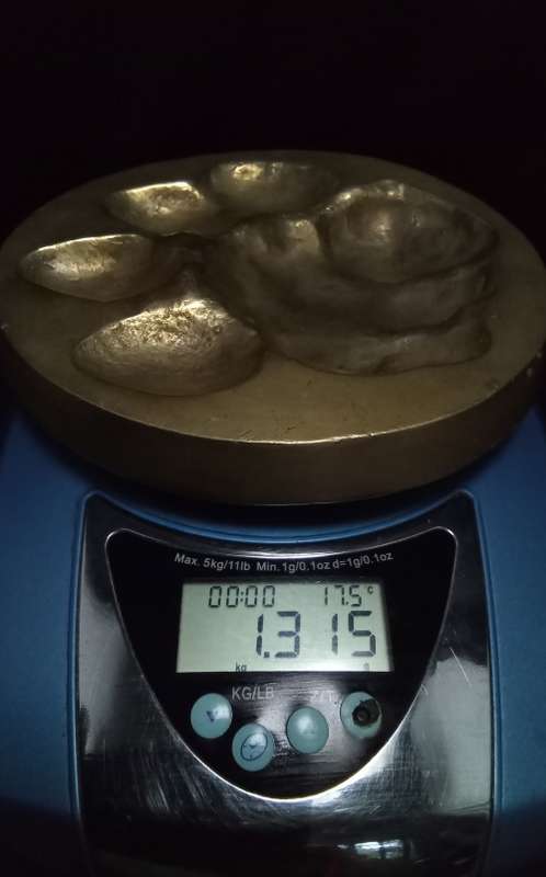 Brass Lion spoor from the registered collection of the B.W. Genis animal foot prints 1980`s