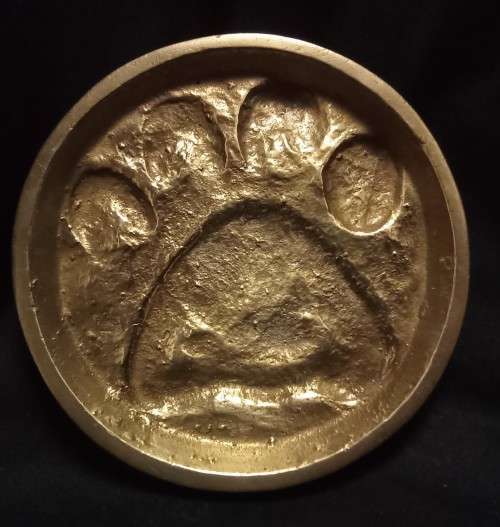 Brass Leopard spoor from the registered collection of the B.W. Genis animal foot prints 1980`s