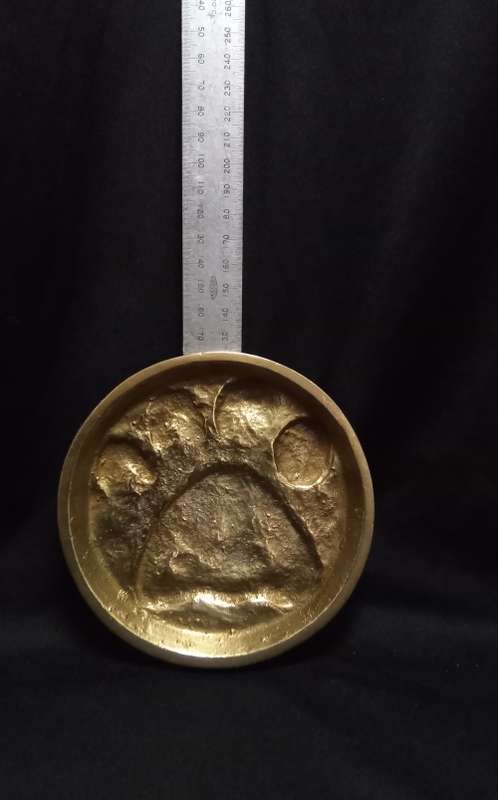 Brass Leopard spoor from the registered collection of the B.W. Genis animal foot prints 1980`s