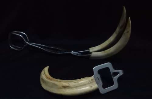 Vintage tusk bottle opener and tongs