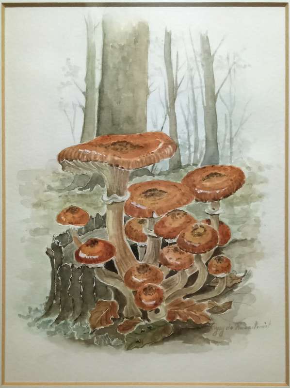 Three beautiful original watercolour paintings