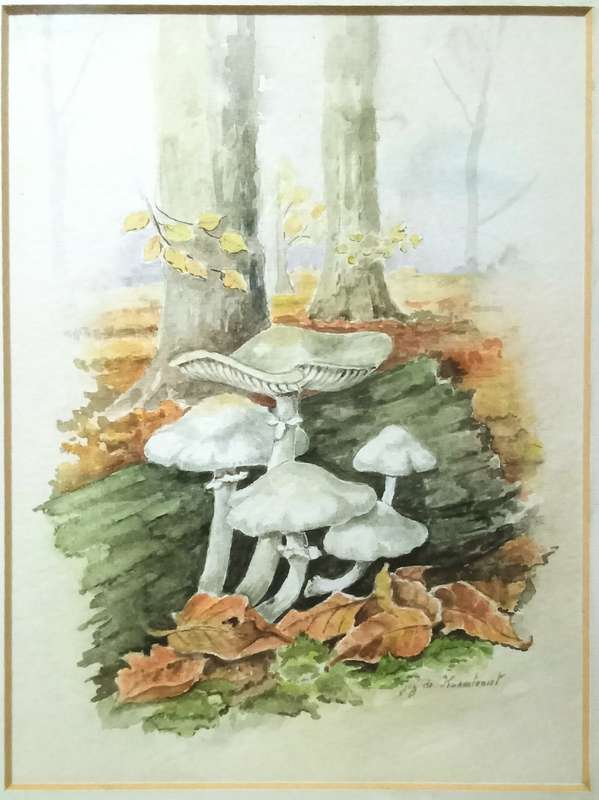Three beautiful original watercolour paintings