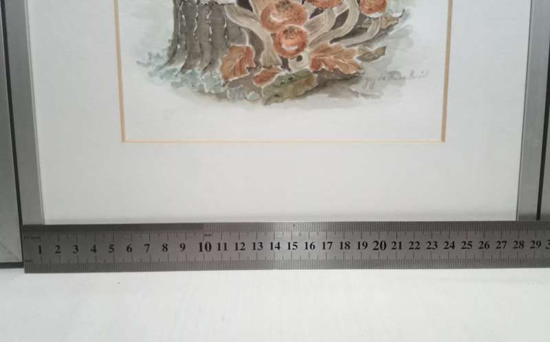 Three beautiful original watercolour paintings