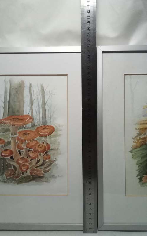 Three beautiful original watercolour paintings