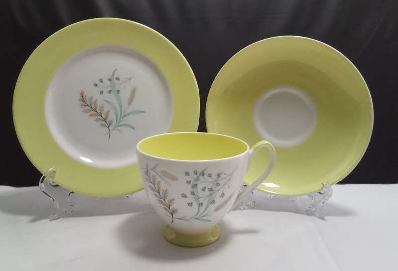 Beautiful bright yellow Queen Anne `Glade` trio