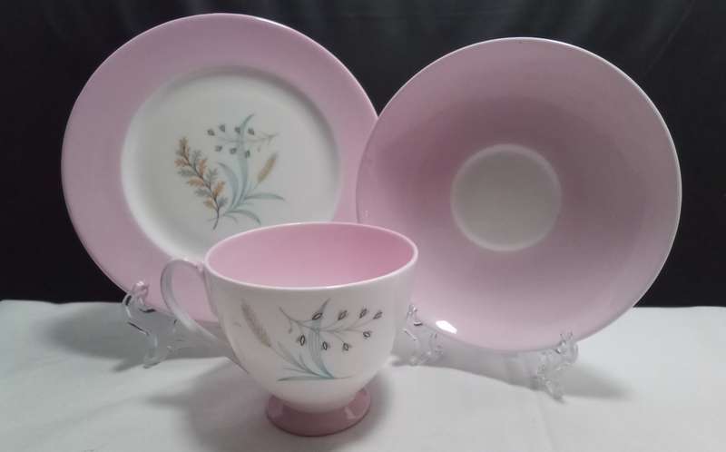 Beautiful pink Queen Anne `Glade` trio