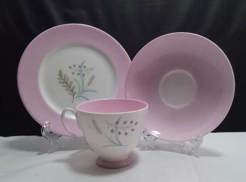 Beautiful pink Queen Anne `Glade` trio