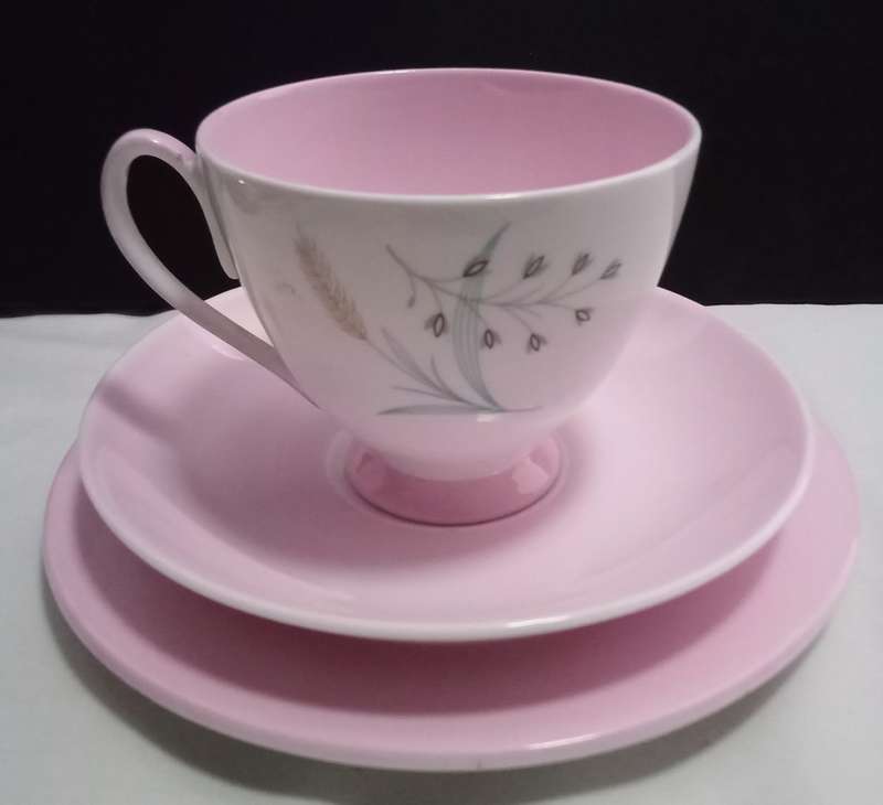 Beautiful pink Queen Anne `Glade` trio