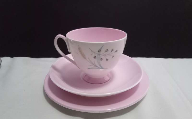 Beautiful pink Queen Anne `Glade` trio