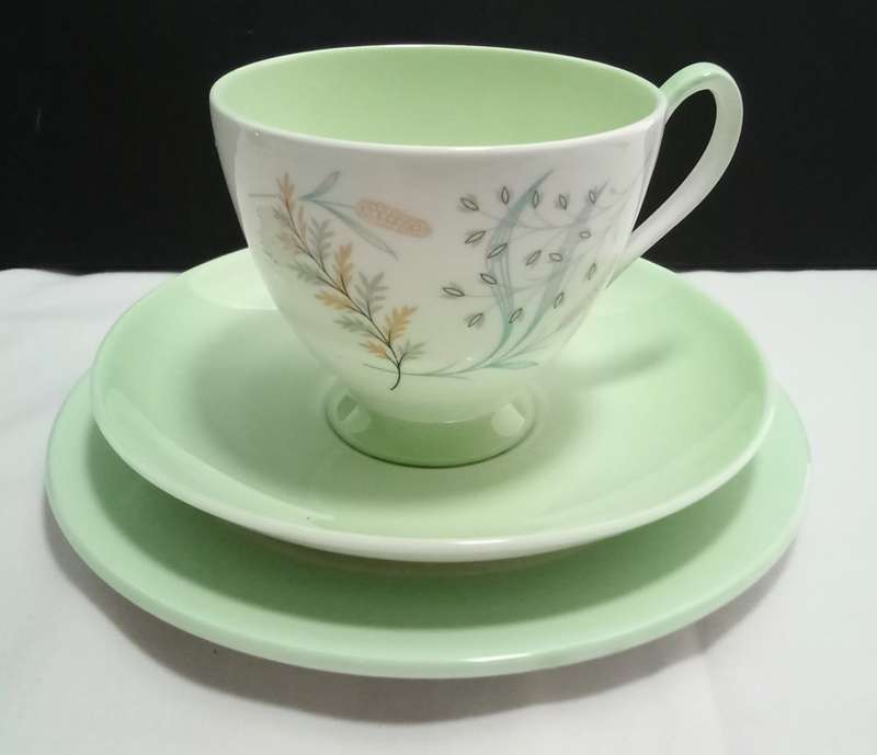 Beautiful green Queen Anne `Glade` trio