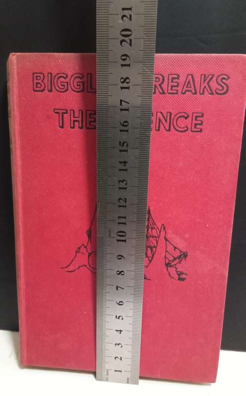 Biggles Breaks the Silence - Captain W.E. Johns (1950)