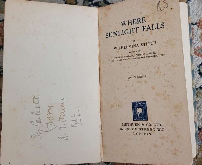 WHERE SUNLIGHT FALLS  BY WILHELMINA STITCH 1929