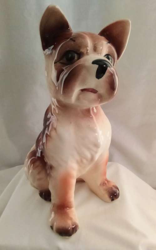Gorgeous vintage doggie looking for a good home