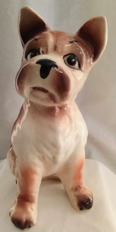 Gorgeous vintage doggie looking for a good home