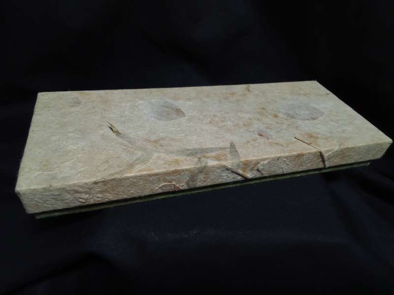 Natural Handmade Wood Chopsticks Set with Holders - Set of 6