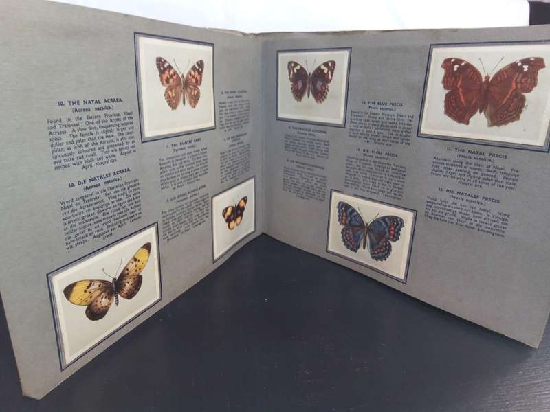 Springbok Cigarette Album of  52 South African Butterflies Album (1949)