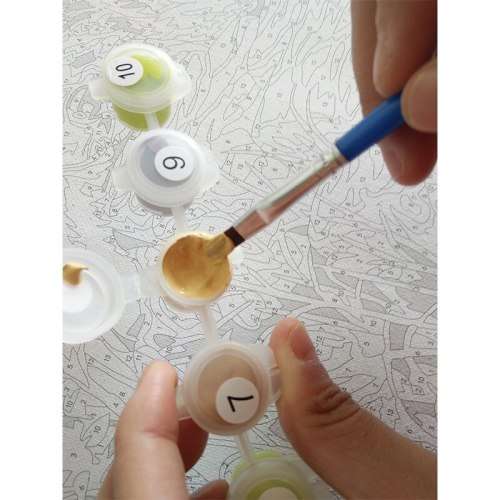 DIY Paint By Numbers Kit - Woman`s Face