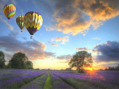 DIY Paint By Numbers Kit - Lavender Road