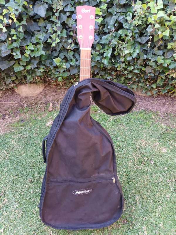 Cort MR-100F NS with Fishman Classic 4 Pickup
