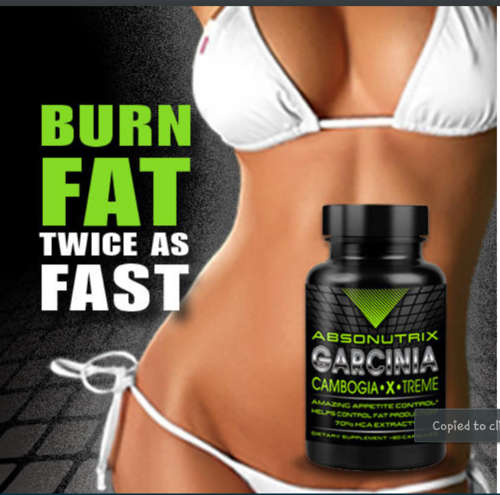 Absonutrix Garcinia Cambogia 70% HCA - STRONGEST ON THE MARKET