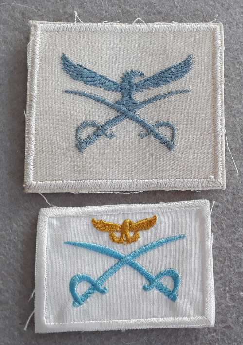 S A Air Force Advanced PTI tracksuit badge (2 variations)