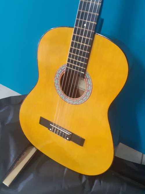 MAKE AN OFFER!!! Hohner Guitar with bag, books and Musedo digital tuner