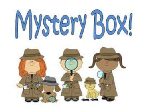 **Incredible Mystery Surprise Box For Girls**