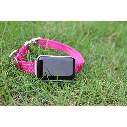 GPS Pet Trackers