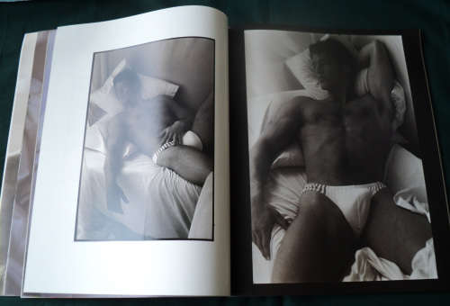 Ken Haak - Sleeping Beauties (book)