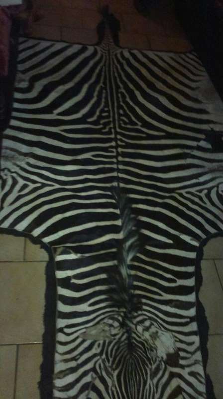 Zebra skin buyer responsible for shipping cost.