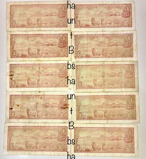 TW DE JONG ,,R1  SPRINGBUCK WATERMARK( BID PER NOTE)
