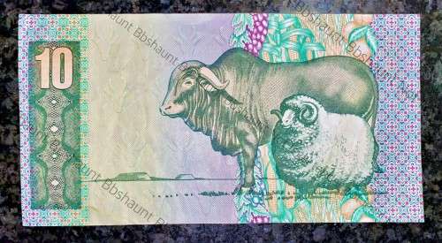 CL STAL SERIOUS ERROR BACK & FRONT OFF CENTER R10 -- 1990 FIRST ISSUE