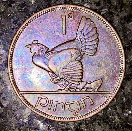 IRELAND 1 PENNY 1937 HEN & CHICKS
